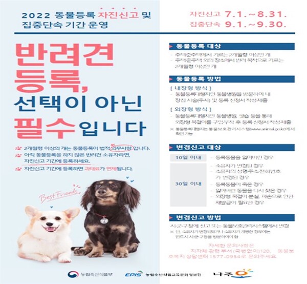 2022 동물등록 자진신고 및 집중단속기간 운영 홍보 포스터